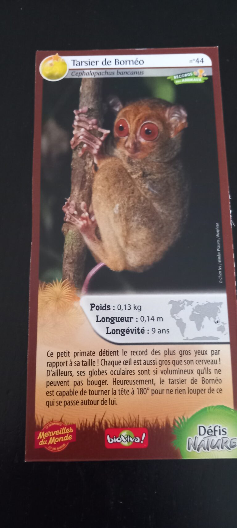 Face de la carte