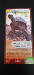 46 – Tortue géante des Seychelles