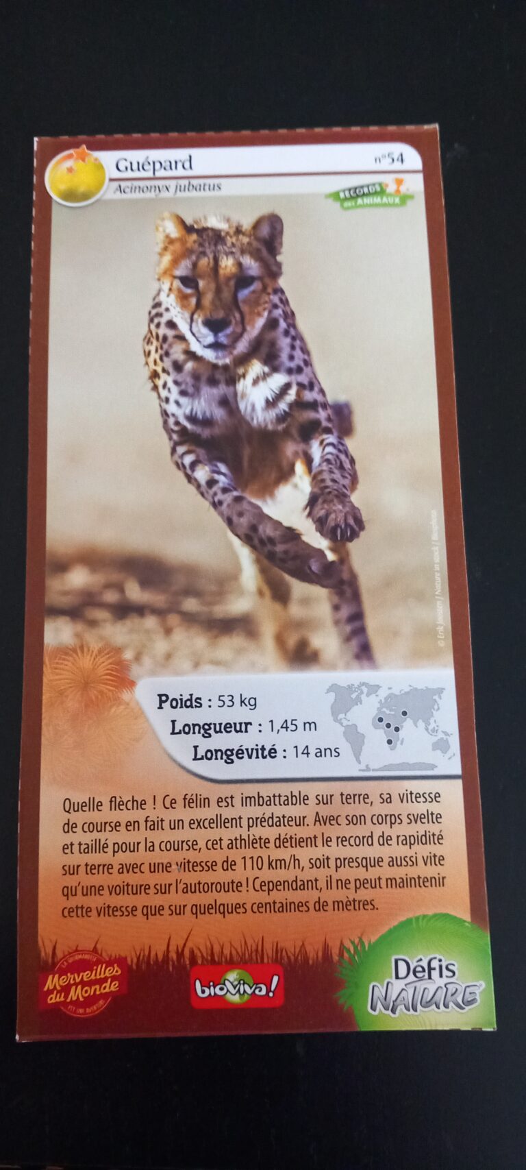 Face de la carte