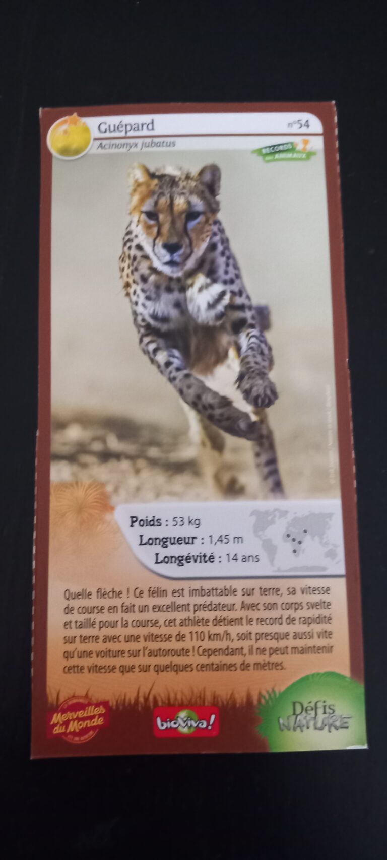 Face de la carte