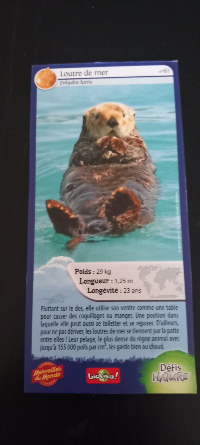Face de la carte