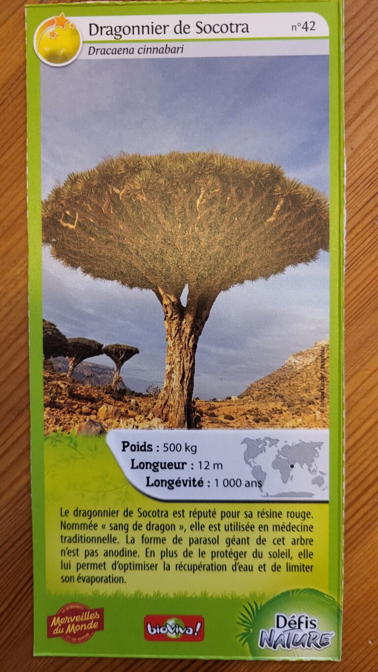 Face de la carte