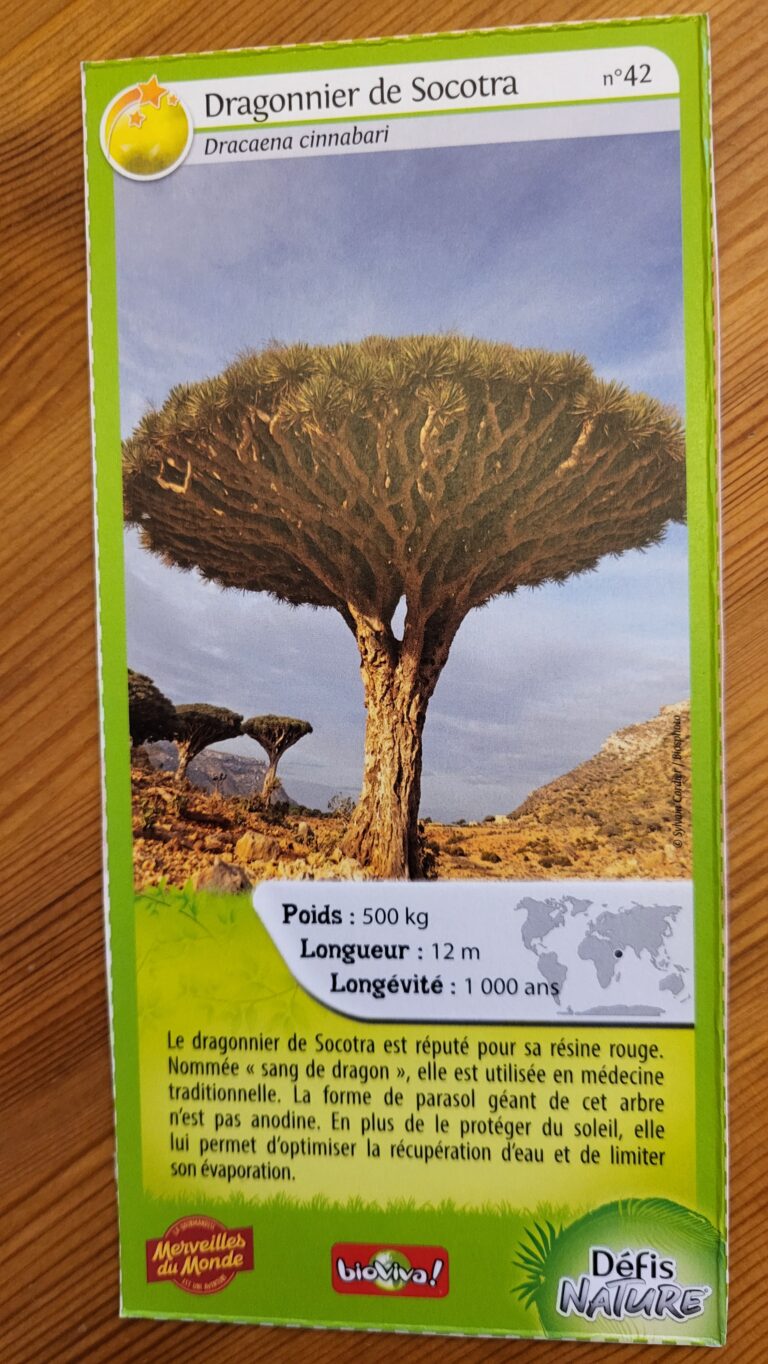Face de la carte