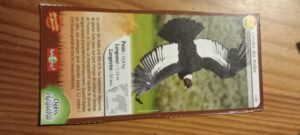 41 – Condor des Andes