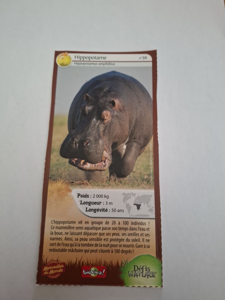 Face de la carte