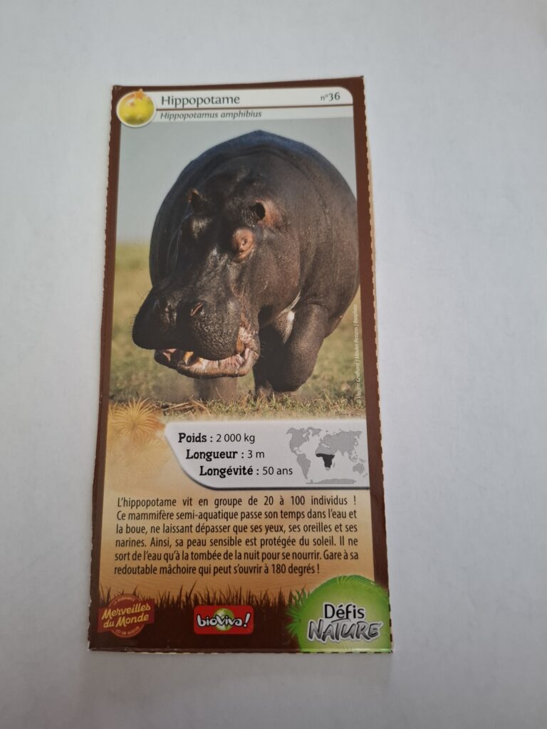 Face de la carte