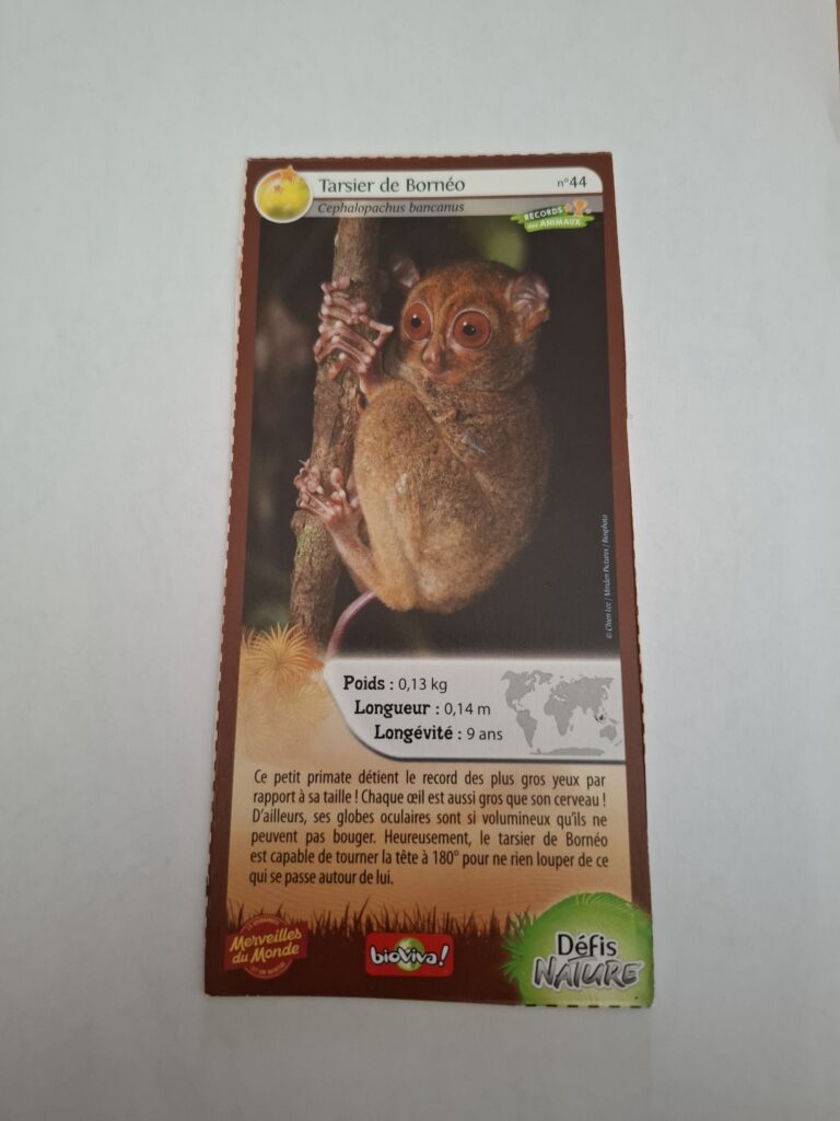 Face de la carte