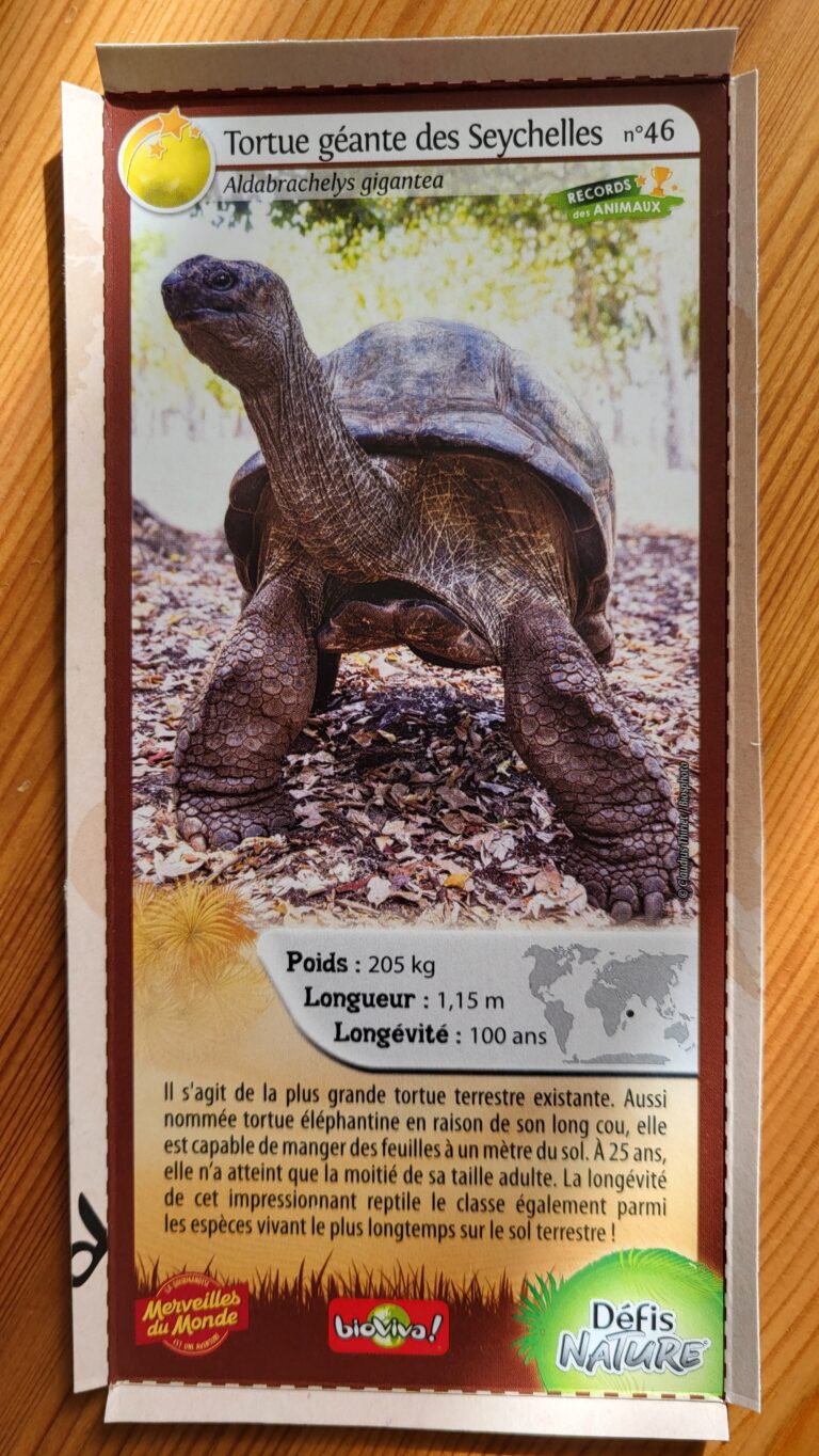 Face de la carte