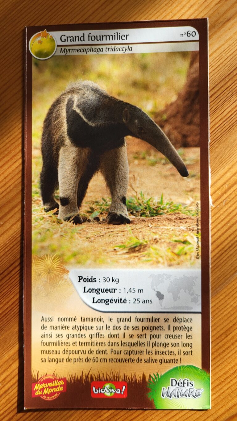 Face de la carte
