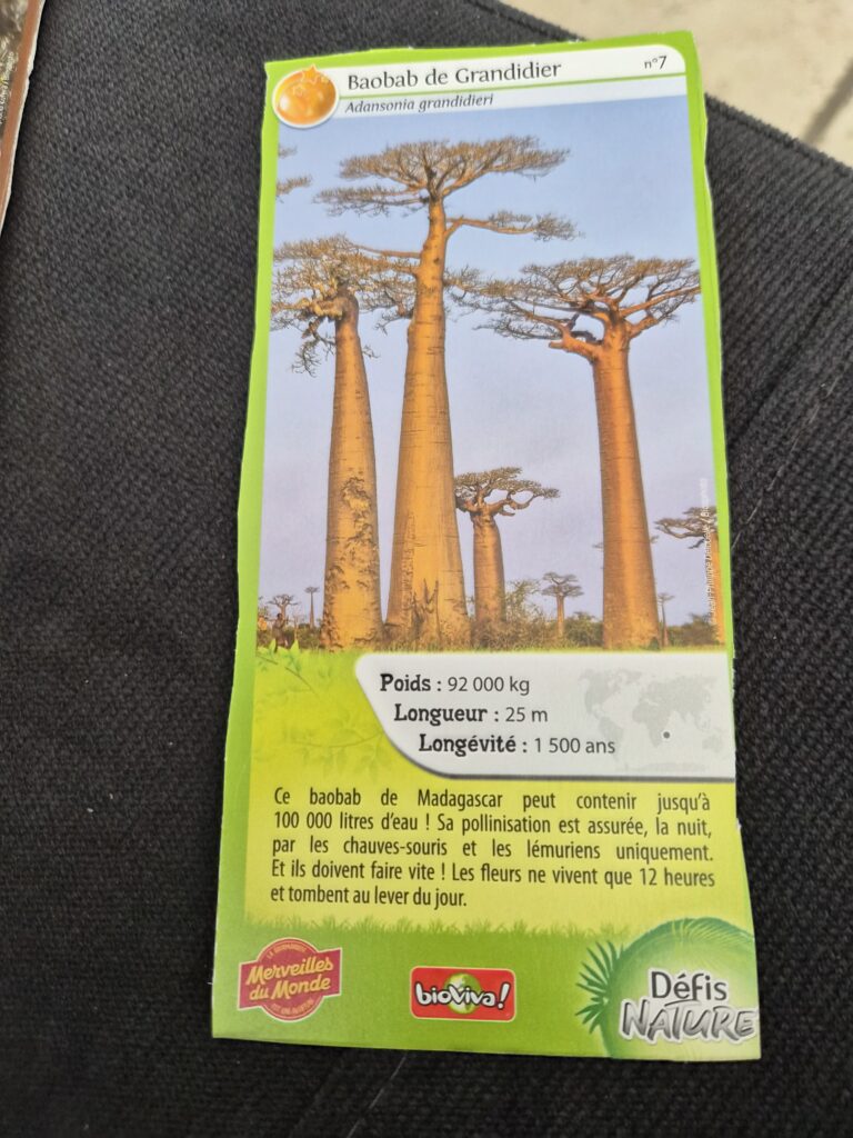 Face de la carte