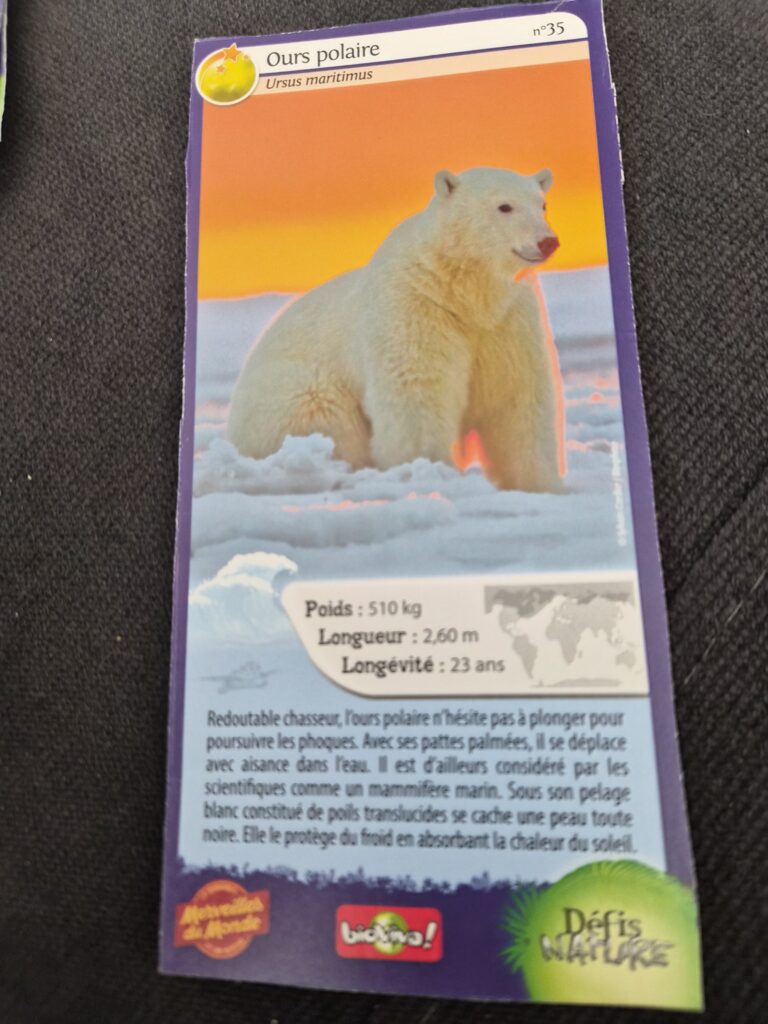 Face de la carte