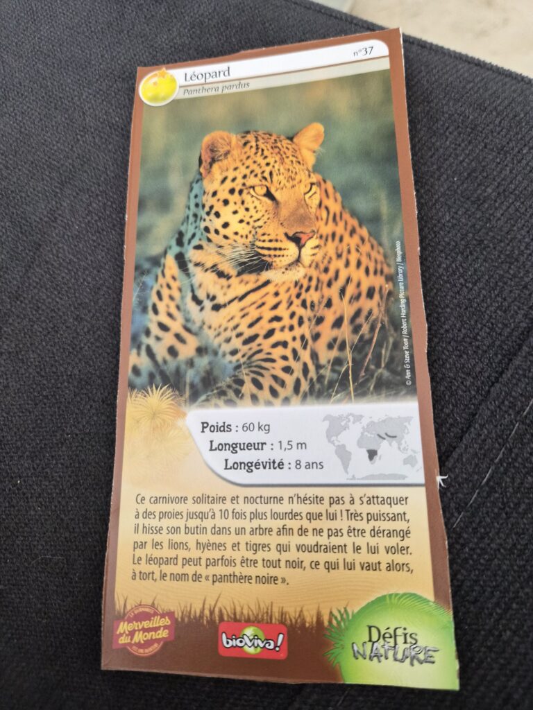 Face de la carte