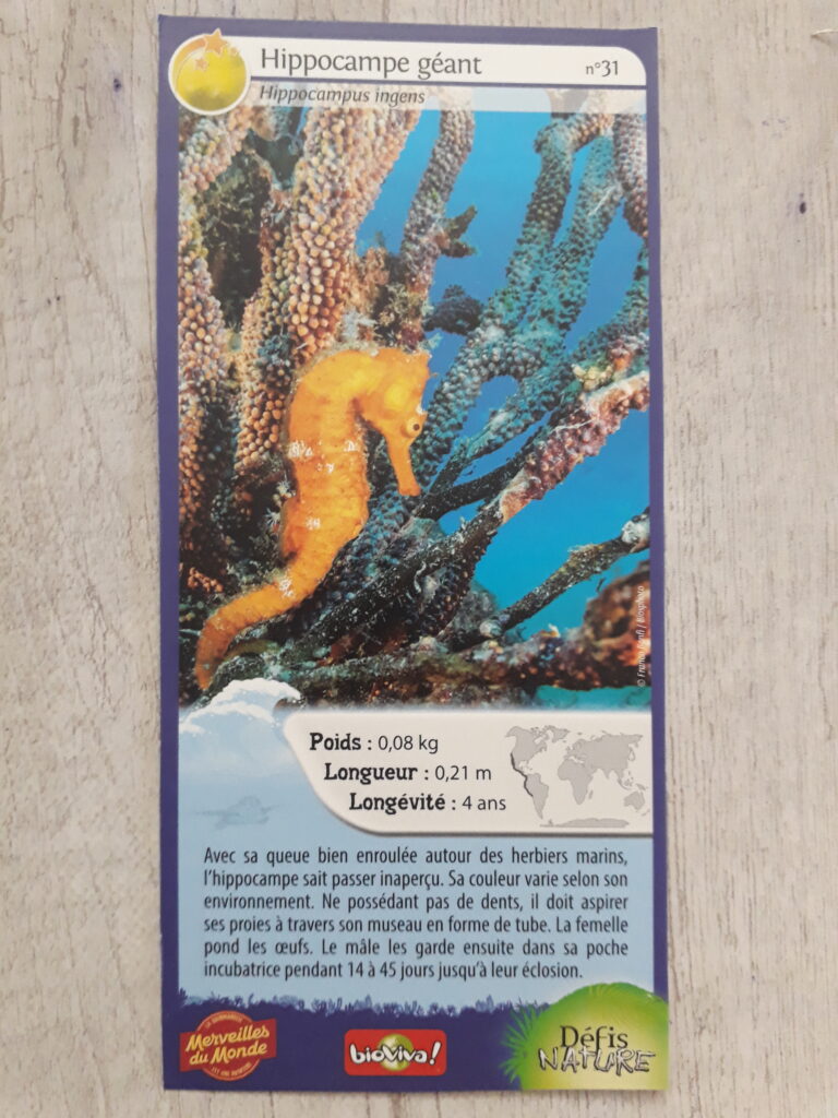 Face de la carte