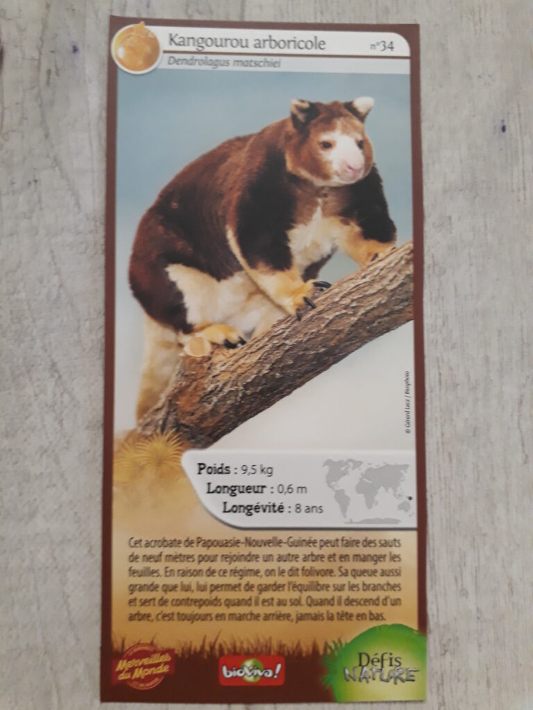 Face de la carte