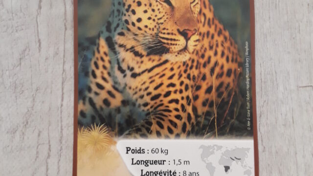 37