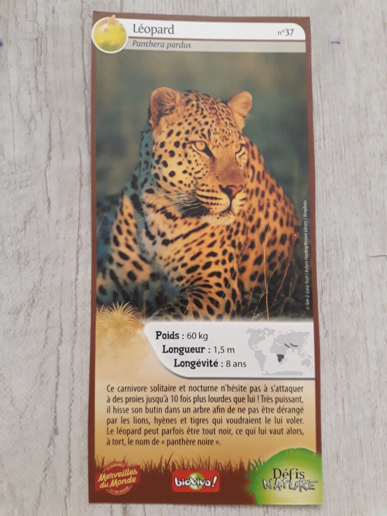 Face de la carte