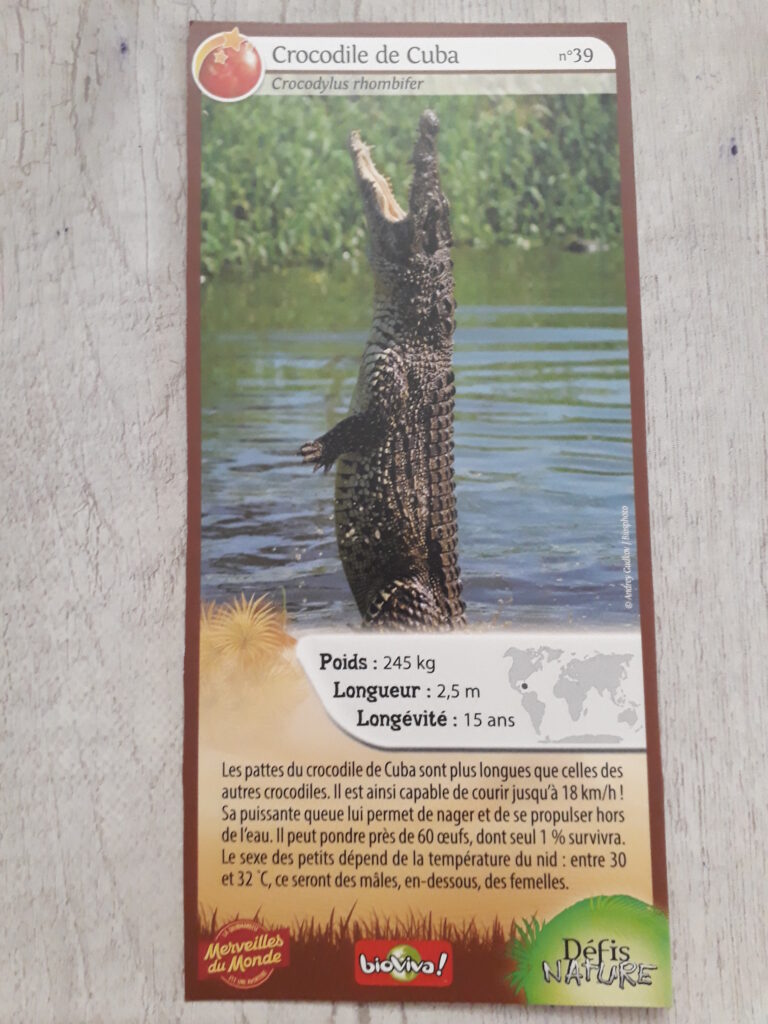 Face de la carte