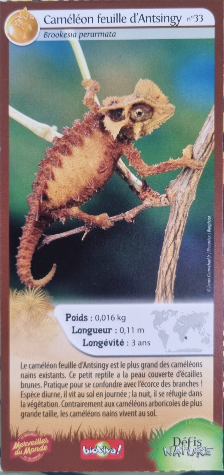 Face de la carte