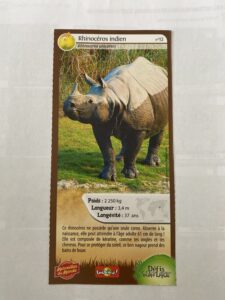 12 – Rhinocéros indien