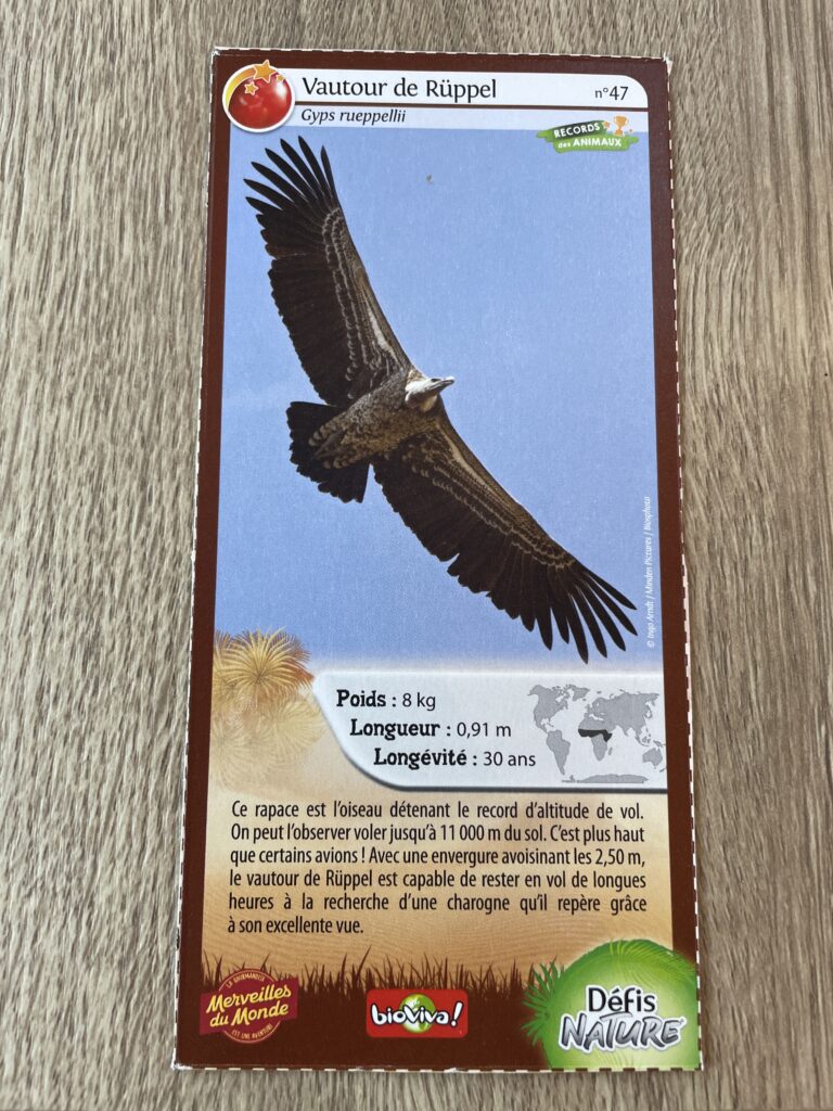 Face de la carte