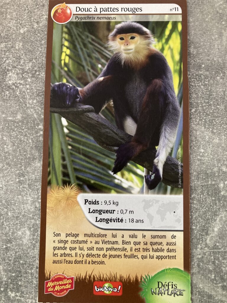 Face de la carte