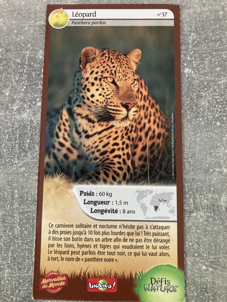 Face de la carte
