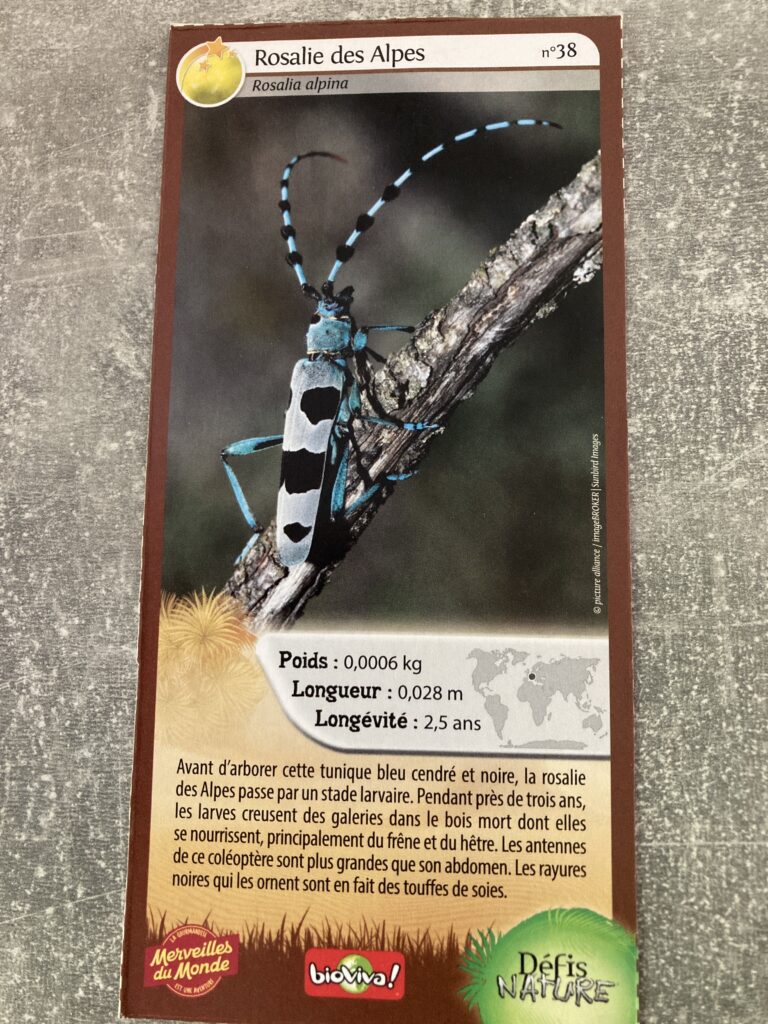 Face de la carte