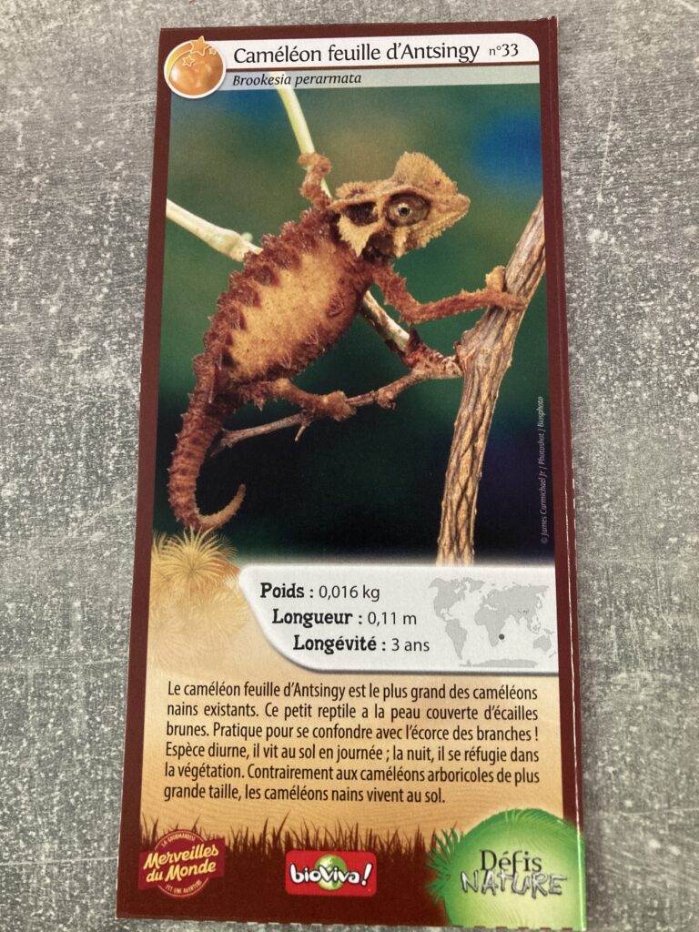 Face de la carte