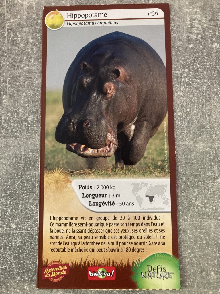Face de la carte