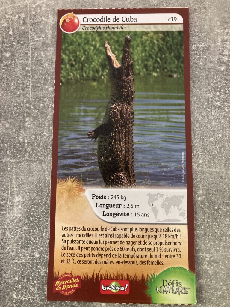 Face de la carte