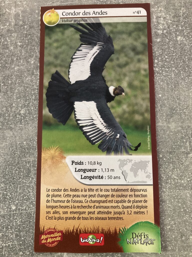 Face de la carte
