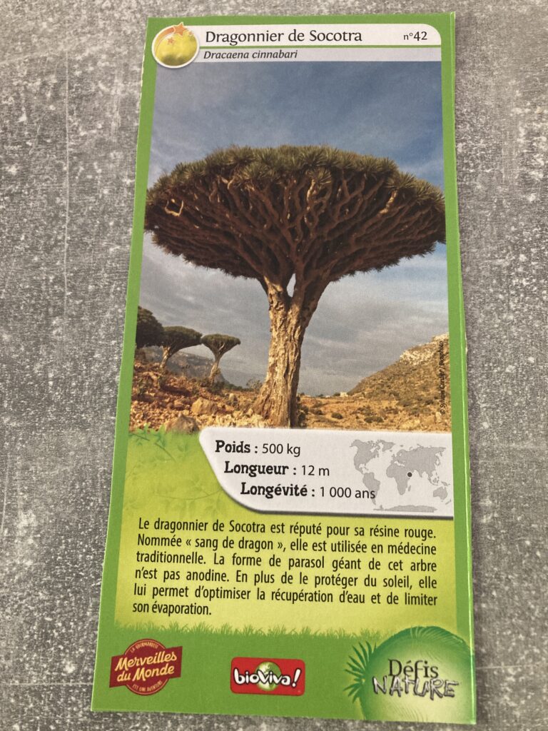 Face de la carte