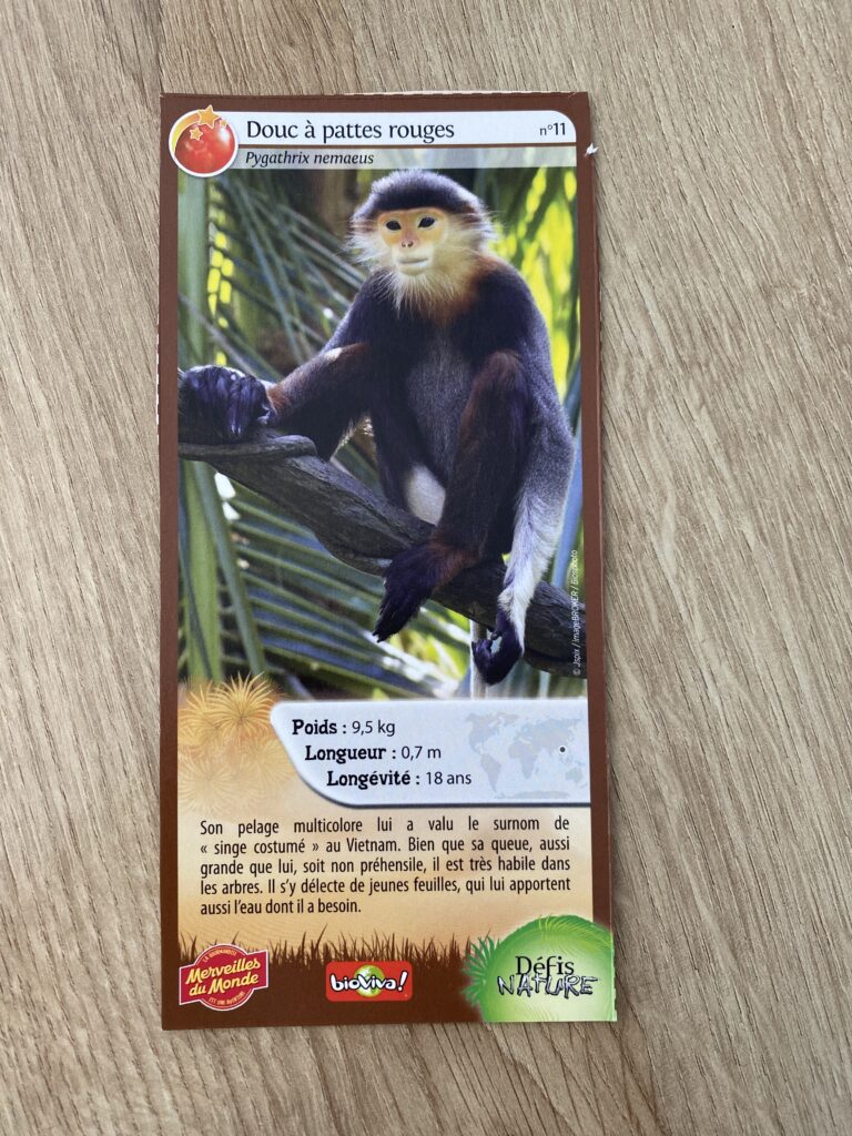 Face de la carte