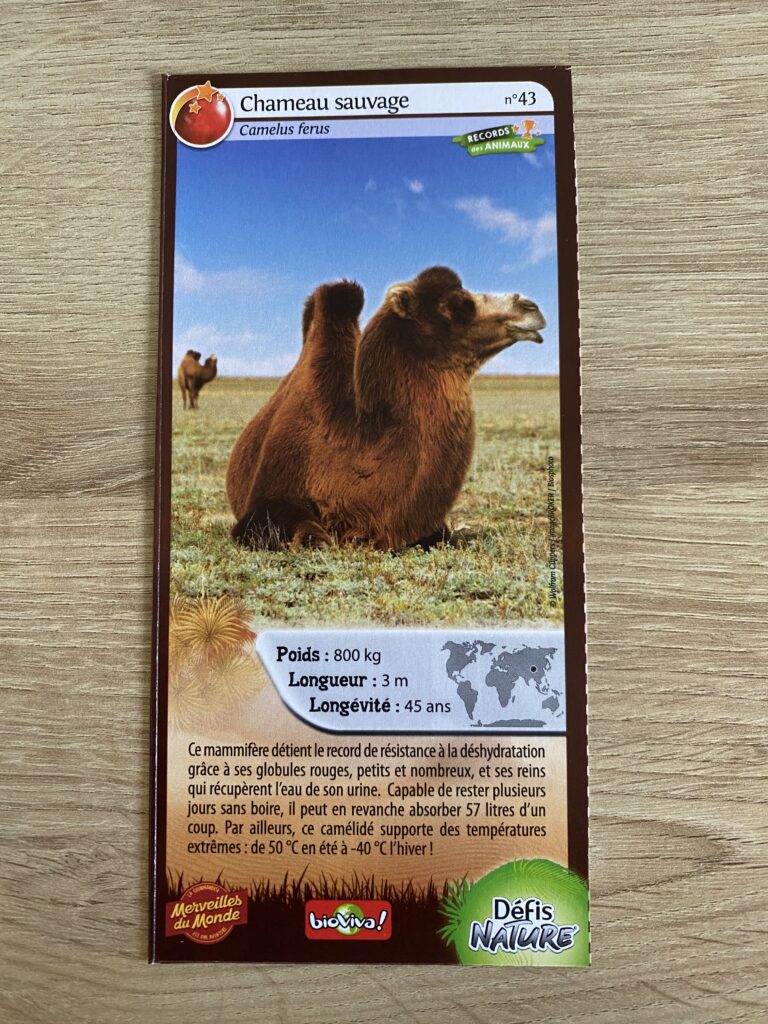 Face de la carte
