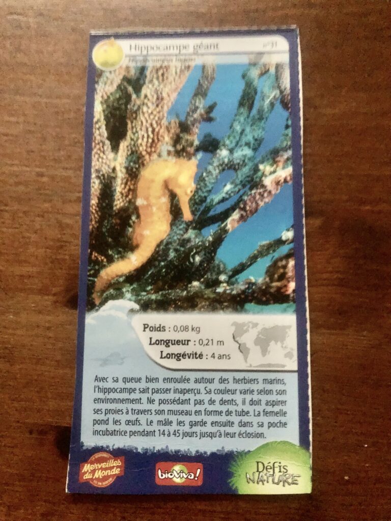 Face de la carte