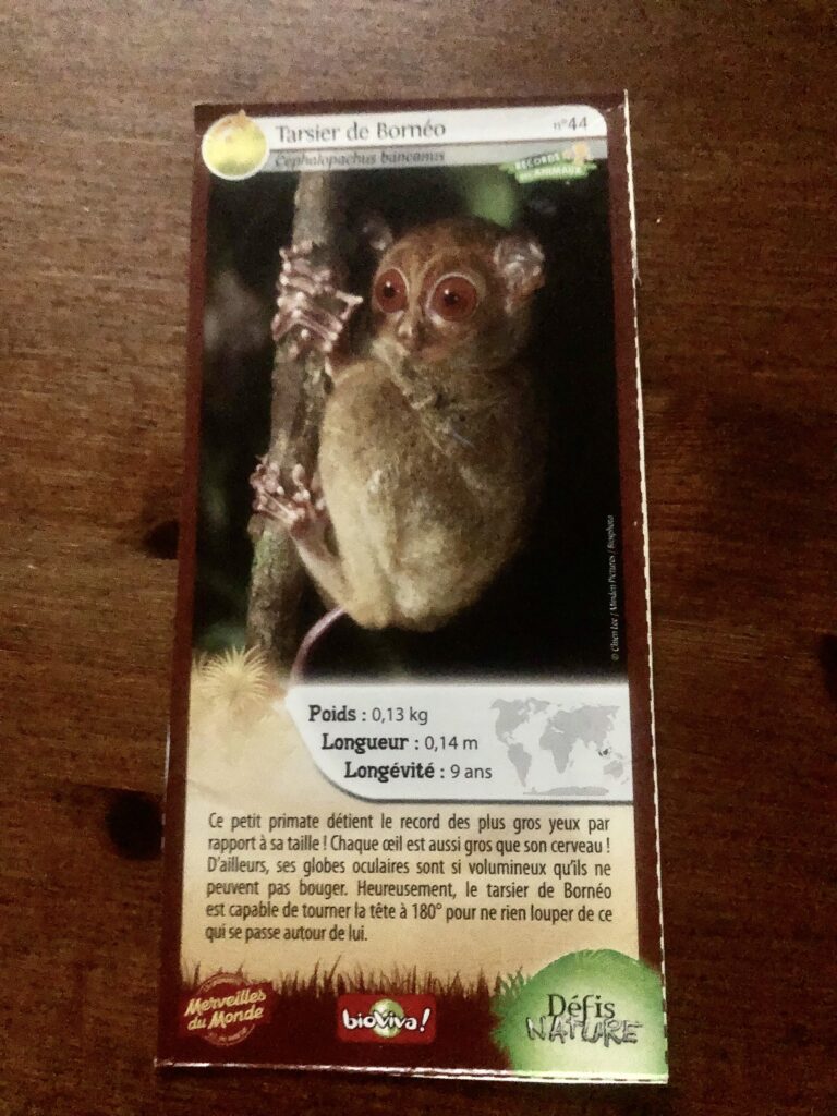 Face de la carte