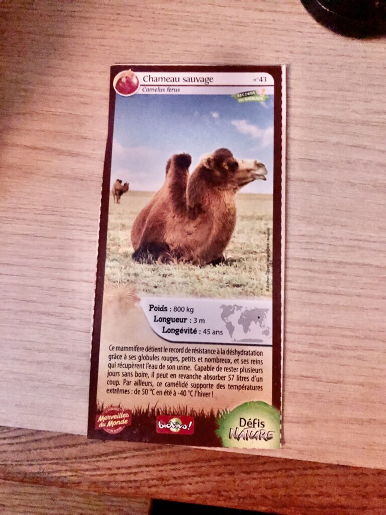 Face de la carte