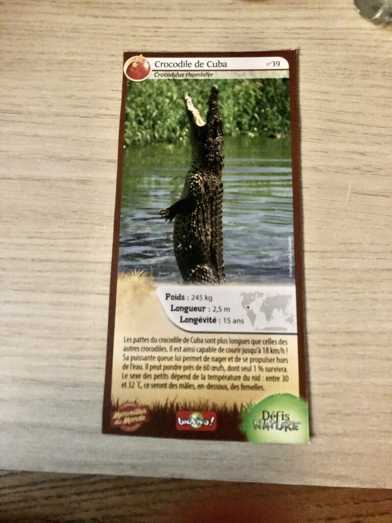 Face de la carte