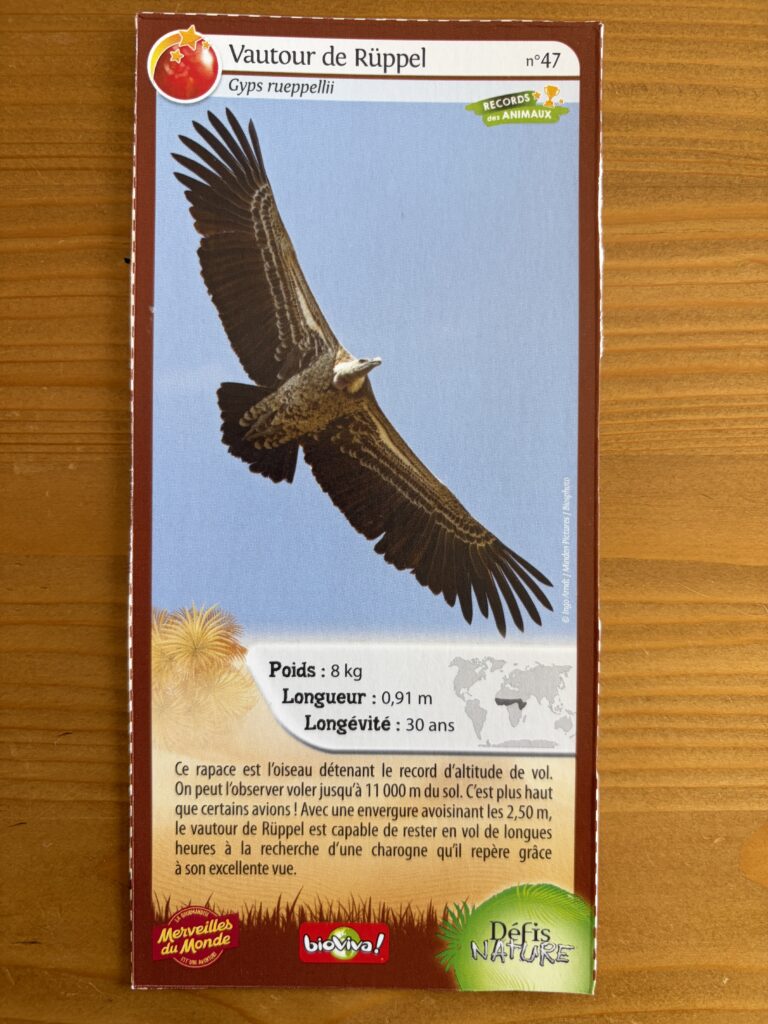 Face de la carte