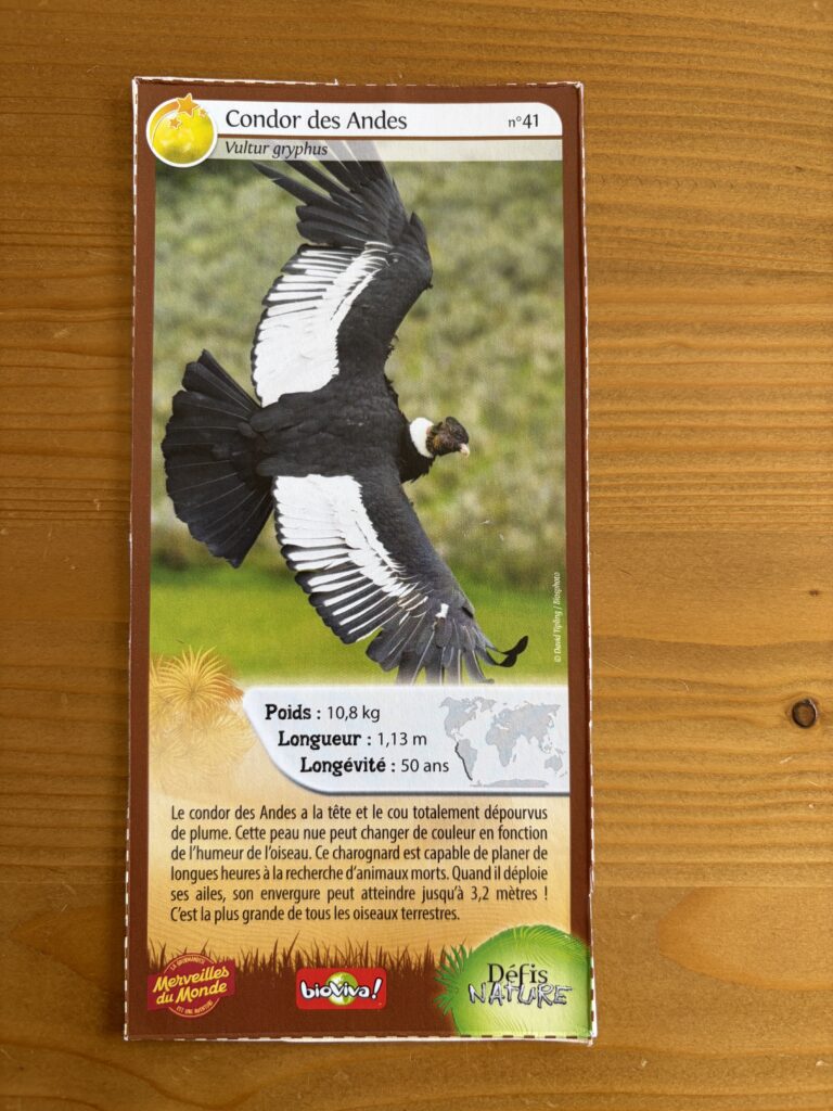 Face de la carte