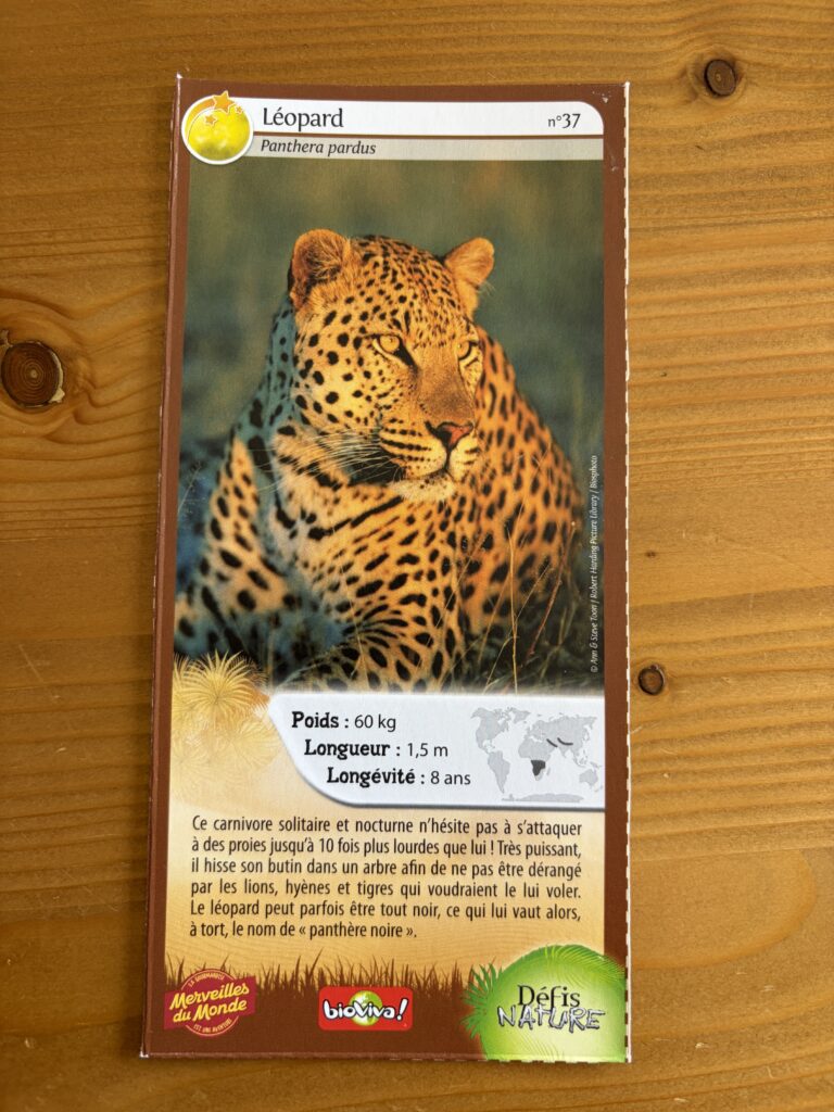Face de la carte