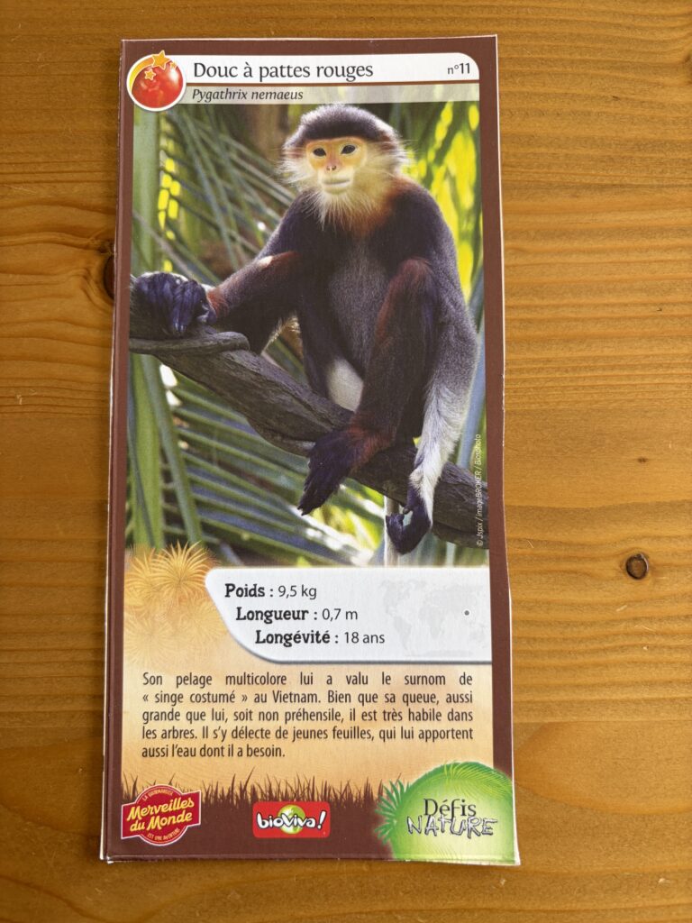 Face de la carte
