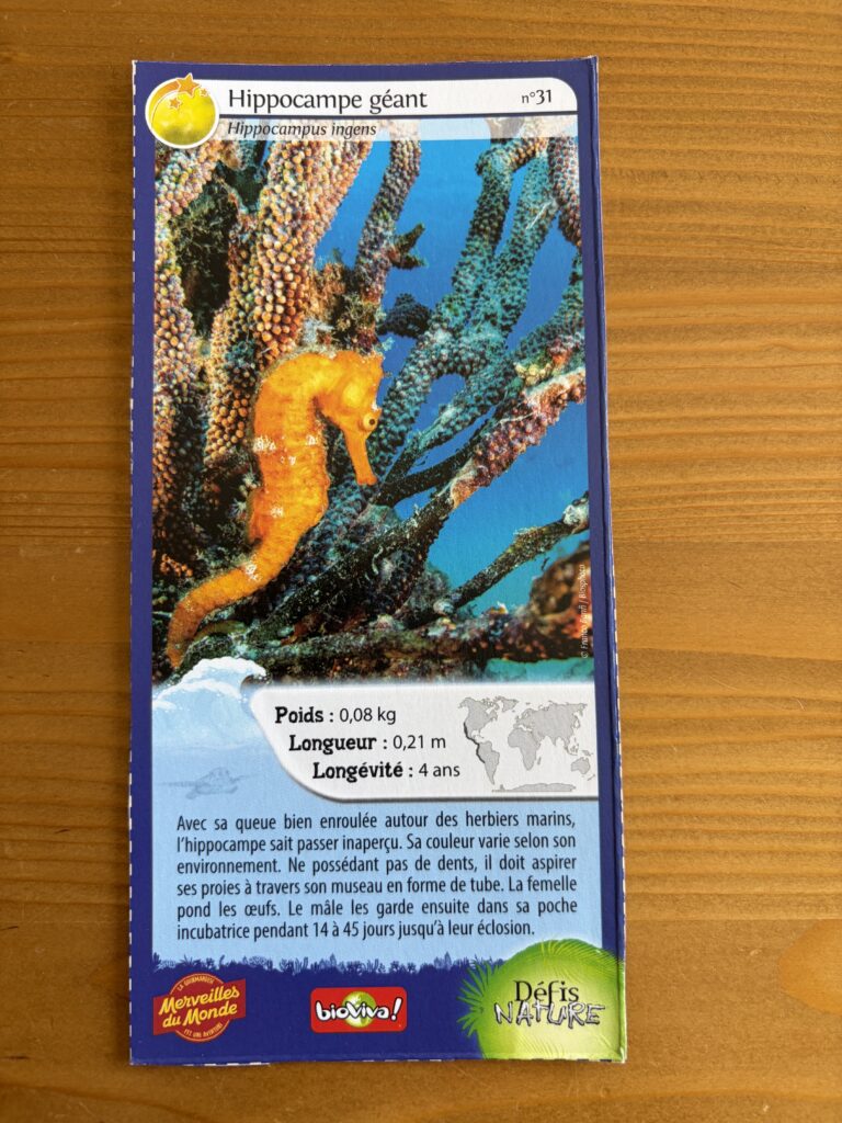 Face de la carte