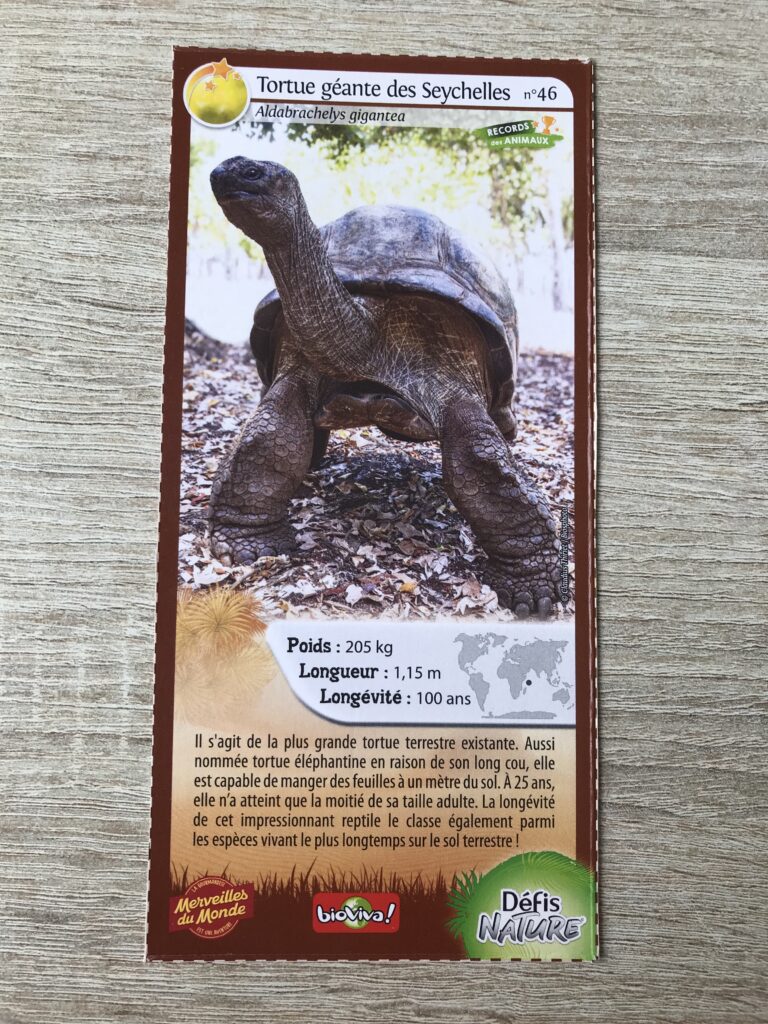 Face de la carte
