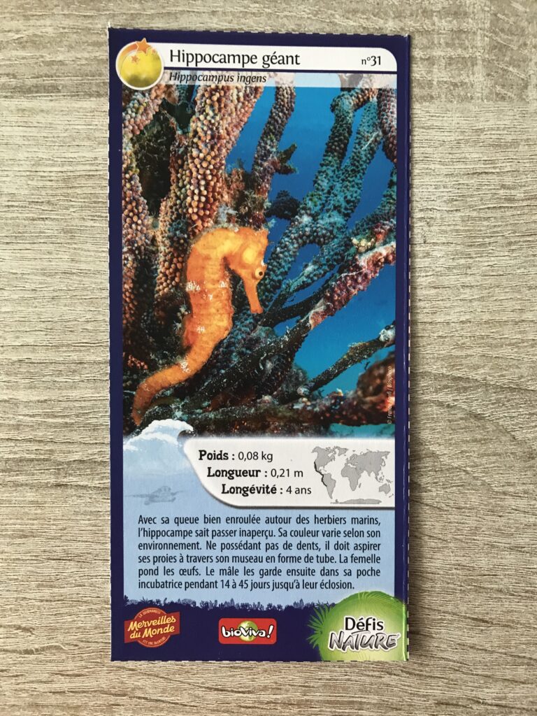 Face de la carte