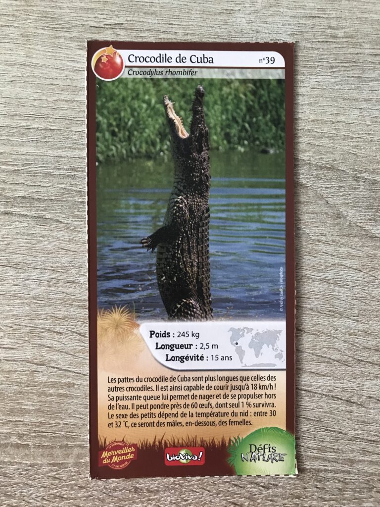Face de la carte