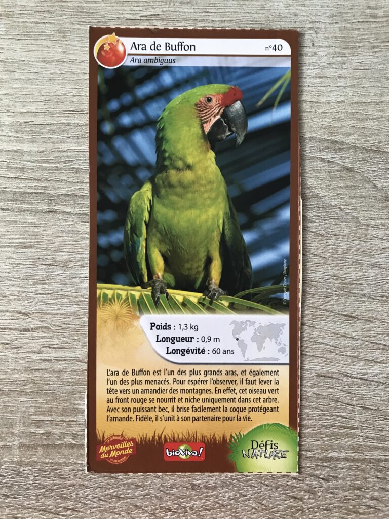 Face de la carte