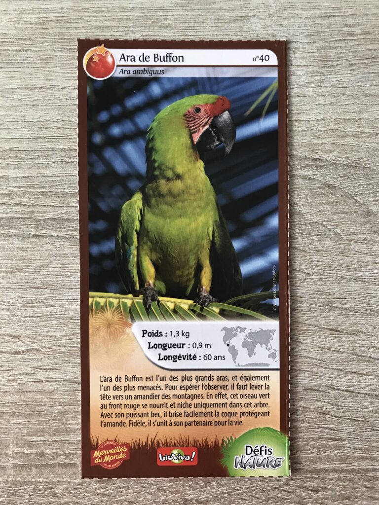 Face de la carte