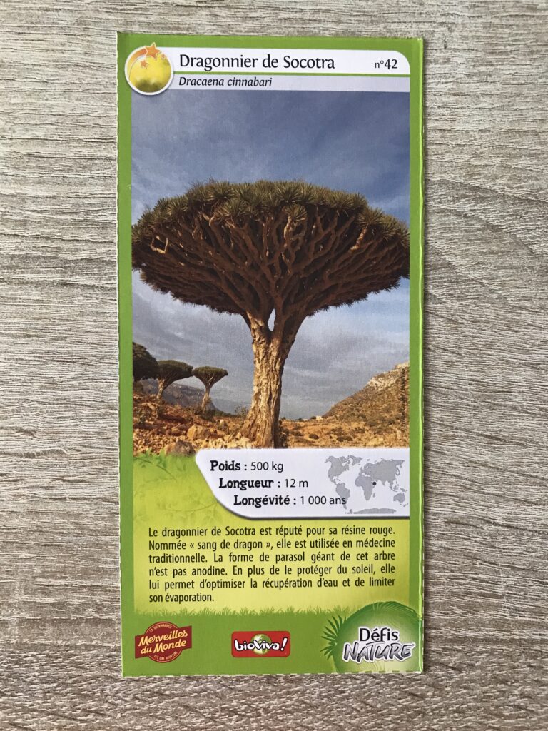 Face de la carte