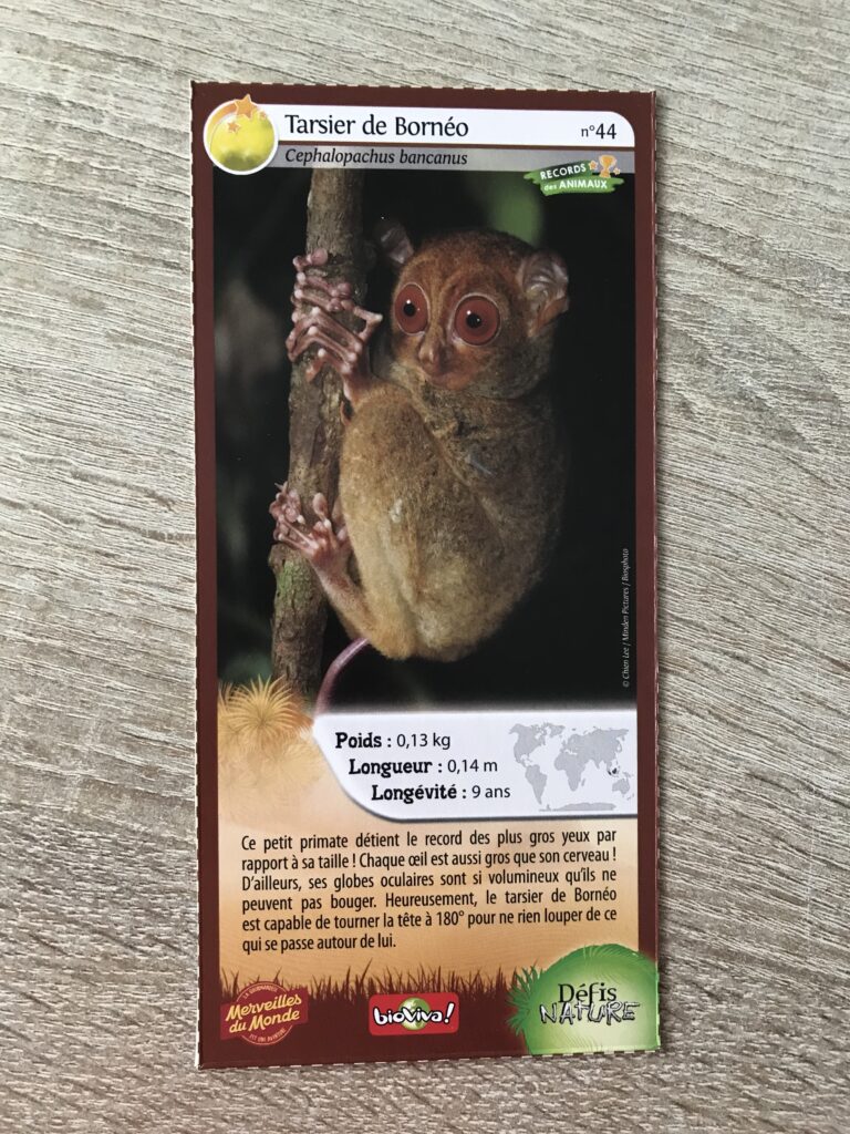 Face de la carte